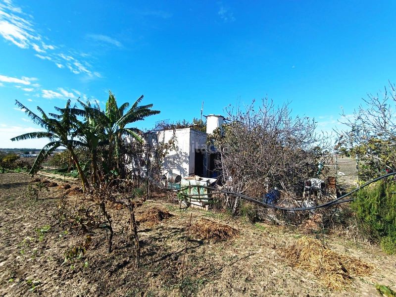 Foto 12335f75-fa3a-426c-a066-6b4f75ff3a2e. Finca rústica a El Juncal - Vallealto Puerto de Santa María (El)