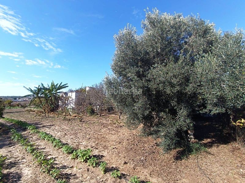 Foto 601397f6-da9b-4efc-8cd3-ffd75c1ac795. Finca rústica a El Juncal - Vallealto Puerto de Santa María (El)