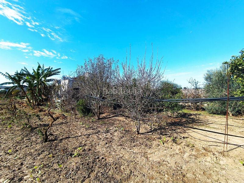 Foto 98c0d0ba-38f3-4a05-909c-90fa6068c744. Finca rústica a El Juncal - Vallealto Puerto de Santa María (El)