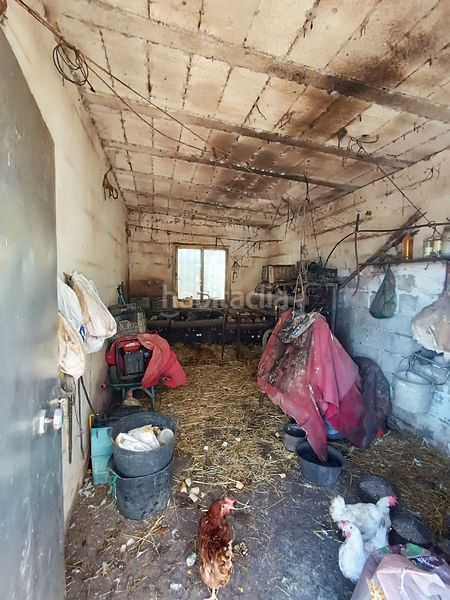 Foto a0316166-b613-4b35-9c1d-017ef841e478. Finca rústica a El Juncal - Vallealto Puerto de Santa María (El)