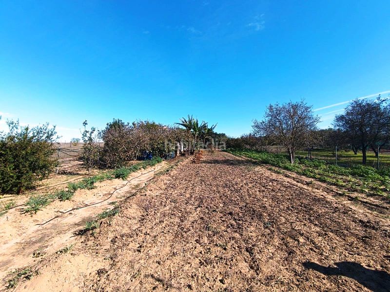 Foto ad50d20f-13c7-43fe-9bfb-bdea2dbf29b3. Finca rústica a El Juncal - Vallealto Puerto de Santa María (El)