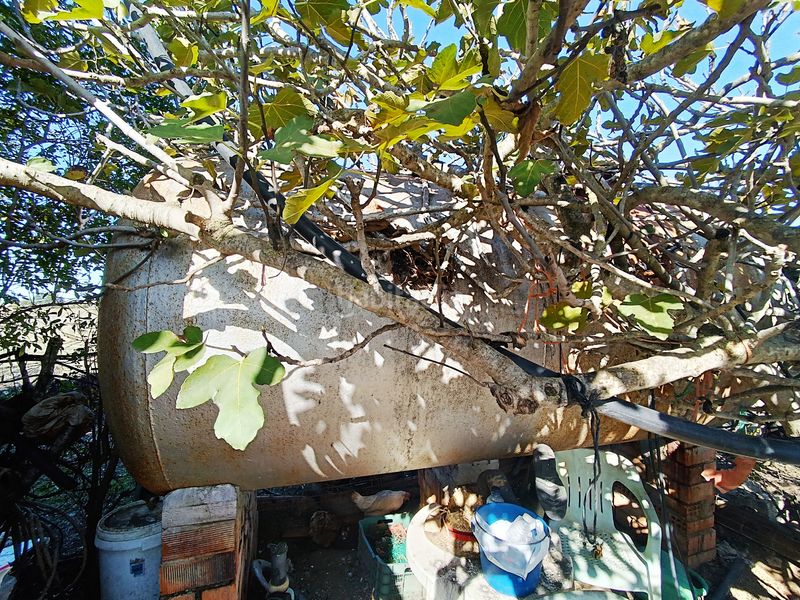 Foto e9c39ca3-75a6-4da2-a428-e1fa4ce7790d. Finca rústica a El Juncal - Vallealto Puerto de Santa María (El)
