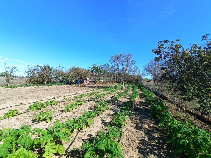 Foto eb7caa8b-6b81-4796-a996-de15d2bcedc3. Finca rústica a El Juncal - Vallealto Puerto de Santa María (El)