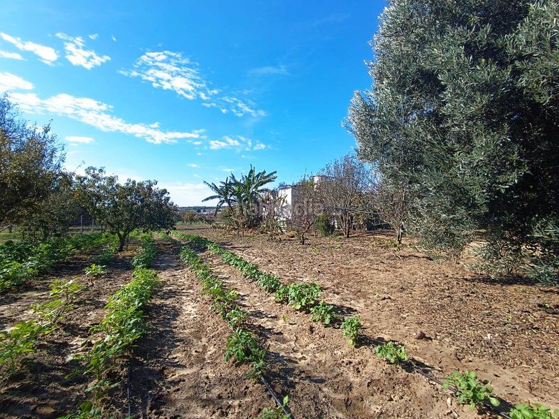 Foto f3ebdab6-e970-4d60-a8d3-43f320f8979c. Finca rústica a El Juncal - Vallealto Puerto de Santa María (El)