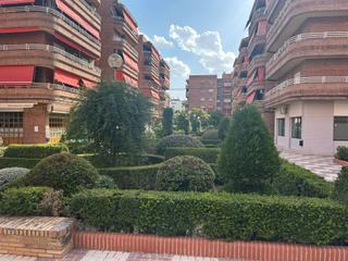 Alquiler Piso en Calle profesor agustín escribano 8