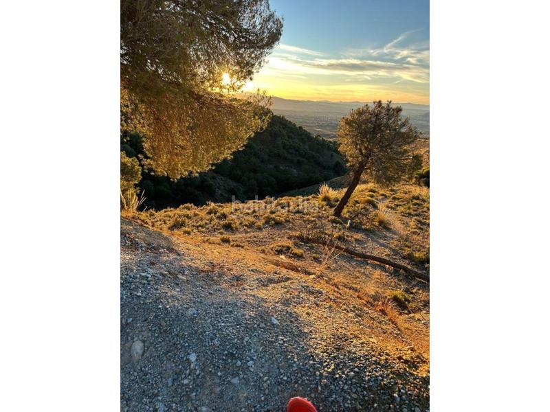 Foto 7ac1a0ad-8f73-4ebb-90be-22073827f428. Terreno residenziale in Altos de la Zubia Zubia (La)