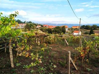 Terrain résidentiel à Mos. Se vende finca edificable en la zona de tageiga (mos)