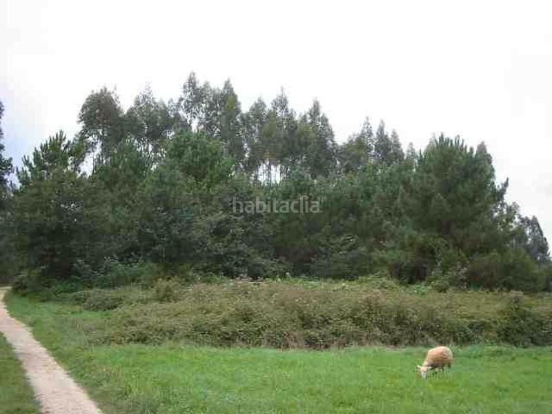 Foto a563e12e-77d8-4ee2-8d04-2d3eae021e15. Terreno residencial se vende finca edificable y segregable en fraiz en Ames