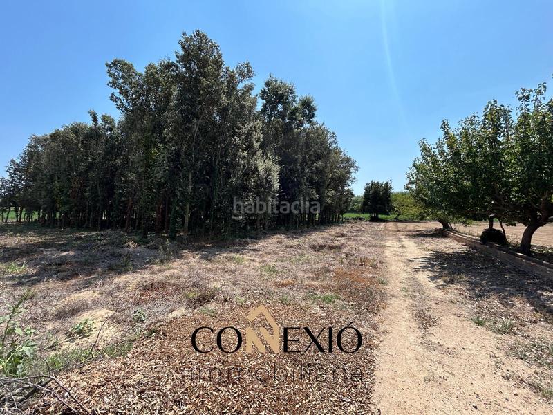 Foto 17c753a0-8591-44cc-a1b0-9c62f83000c2. Casa con camino riscaldamento parcheggio in Molí de Vent-La Sauleda Palafrugell