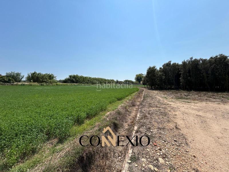 Foto 4fec6046-9dc2-43e1-ad97-17b68f9b2902. Casa con camino riscaldamento parcheggio in Molí de Vent-La Sauleda Palafrugell