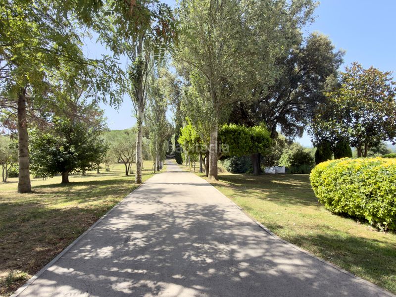 Foto 92341e19-c4b0-4f83-b590-d1c7cdde8dd4. Casa amb xemeneia calefacció aparcament piscina a Riudarenes