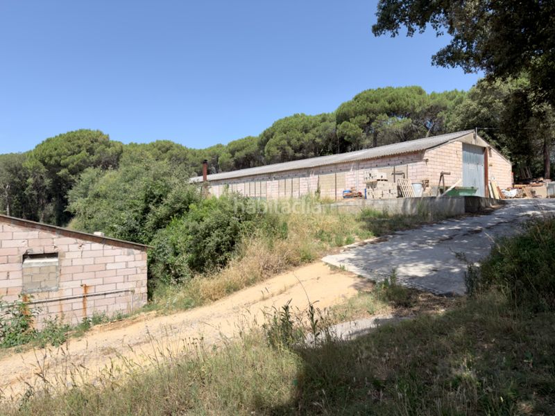 Foto f519a193-28ca-4b0e-a3e7-17cb9e230d03. Casa amb xemeneia calefacció aparcament piscina a Riudarenes