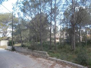 Finca rústica  Valletes de bru. Suelo rustico en venta zona valletes de bru