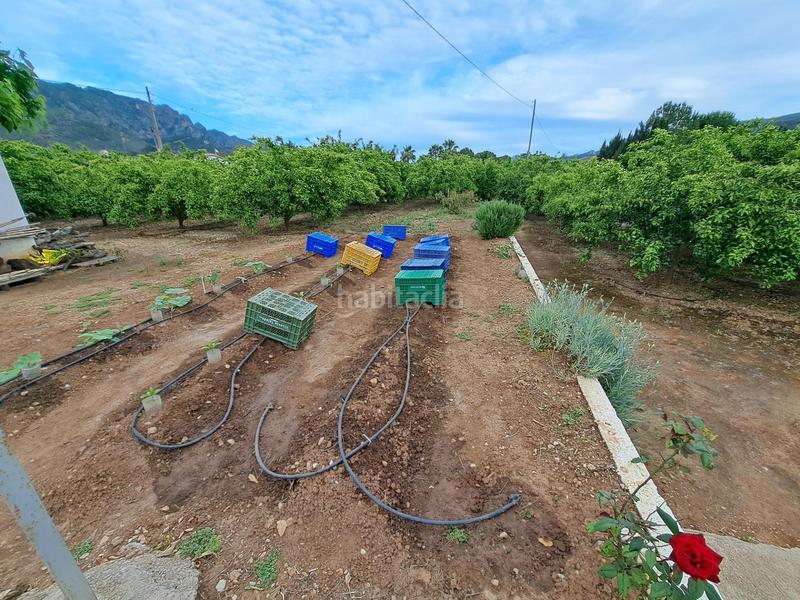 Foto 891efeb0-35dc-4bd0-81f4-877642f47dd0. Chalet se vende este estupendo chalet con 9.100 m2 de parcela en la barraca daigues vives en Alzira