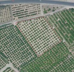Finca rústica a Urbanitzacions i Pedanies Nord. Se vende parcela en terreno rural de 6582 m2 en alzira.