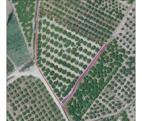 Finca rústica a Urbanitzacions i Pedanies Nord. Se vende parcela de 4.796 m2  de terreno en terreno rural en alz