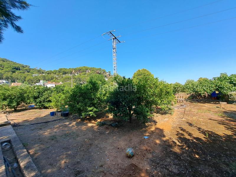 Foto e3dcb9a6-ac2b-42aa-a248-df6f4a85339e. Chalet estupendo chalet en barraca de aguas vivas en Alzira