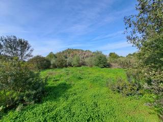 Propriété à Carcaixent. Oportunidad única! terreno rústico en carcaixent  el tossal