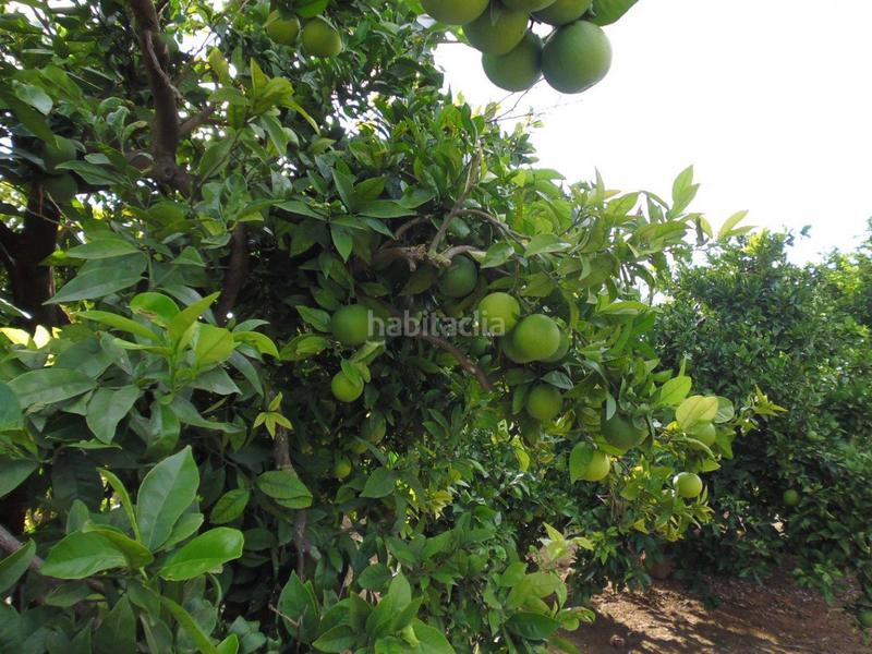 Foto 9a42b33d-c574-4f04-8921-880d6436a8b0. Finca rústica a Urbanitzacions i Pedanies Nord Alzira