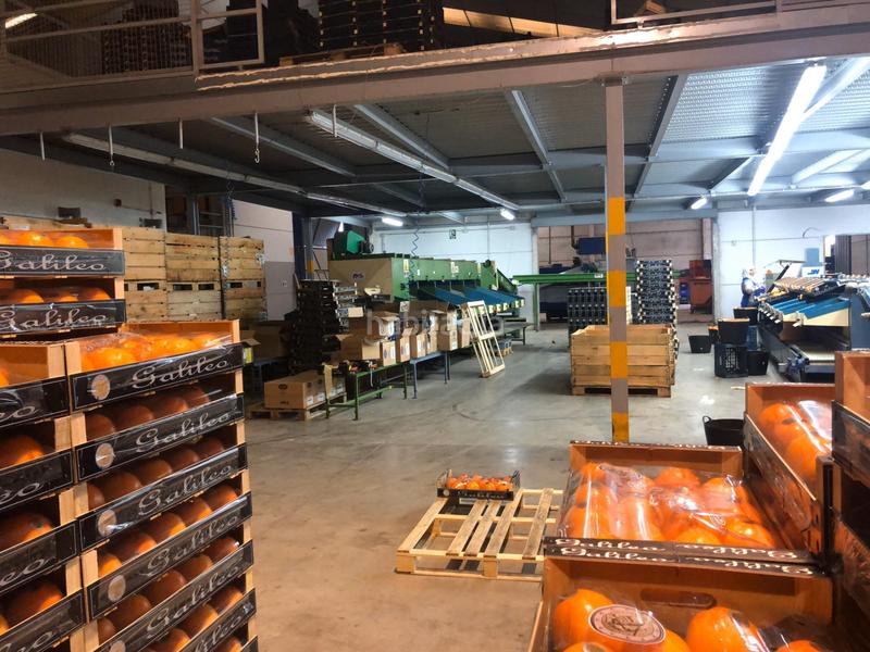 Foto e433db5e-bd0f-499e-a524-44b084ca4299. Nave industrial  de poca antigedad en venta. en Guadassuar