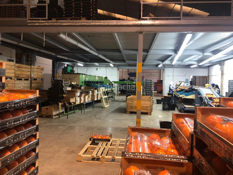 Foto 0d645df9-9889-44c3-b015-67f03ec40682. Nau industrial a Guadassuar