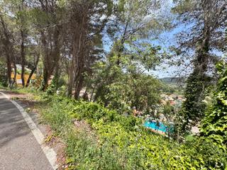 Terreny residencial a Carcaixent. Parcela urbana en venta en barraca de aguas vivas