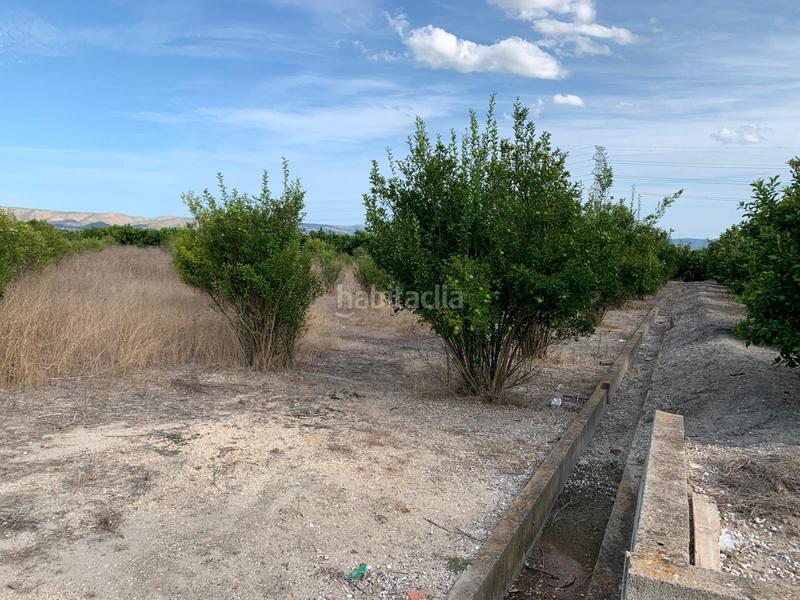 Foto 034ea184-ebd9-433b-a22b-4be00bb66897. Landgut in Manuel