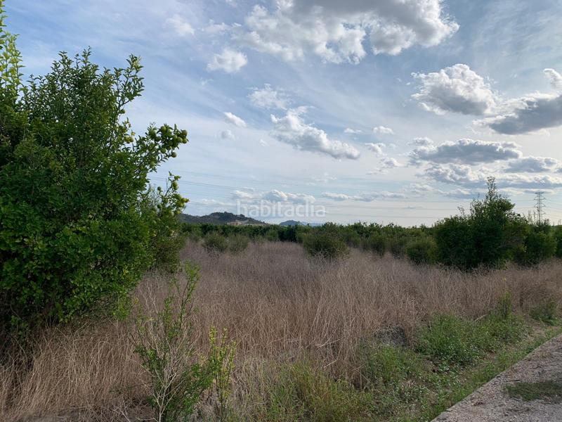 Foto bd40eb20-7b44-4ff7-a6f9-3834fe5a31ba. Landgut in Manuel