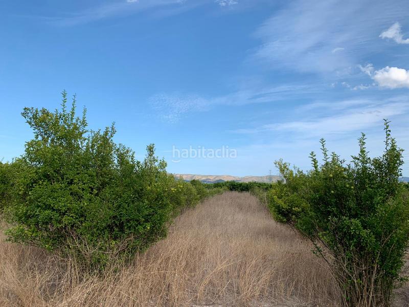 Foto d4cfd1de-90aa-424f-b431-a19d8ee512f1. Landgut in Manuel