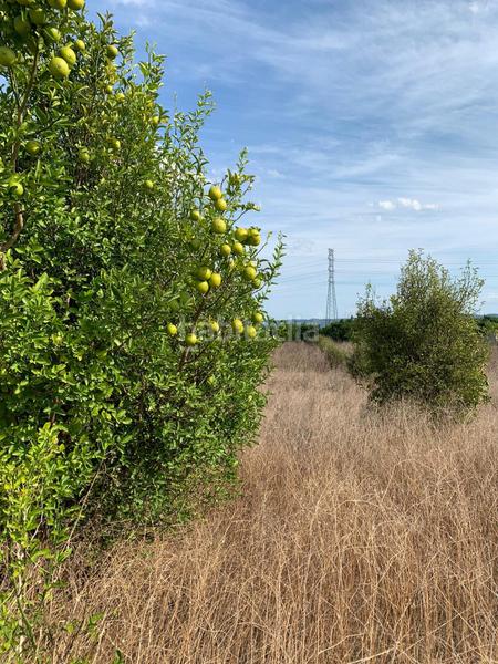 Foto d52fd64a-d7aa-4ec2-aa7c-a6c23ef37190. Landgut in Manuel