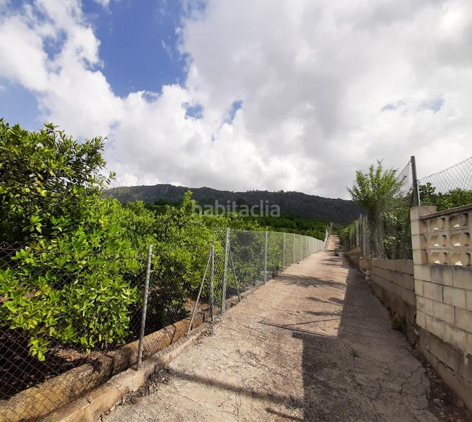 Foto da878a27-1932-4940-a524-56045a0ffba8. Terrain résidentiel dans Urbanitzacions i Pedanies Sud Alzira
