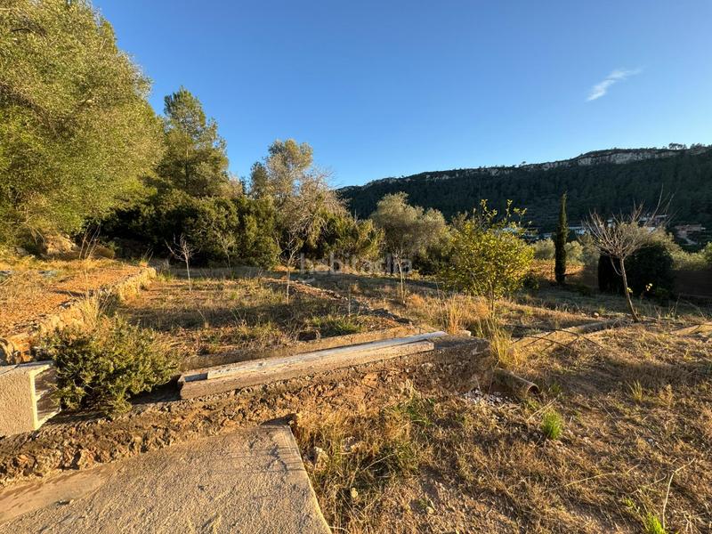 Foto 52e1a8a4-60c8-4dec-8de6-ddbc69cd639b. Finca rústica a Urbanitzacions i Pedanies Nord Alzira