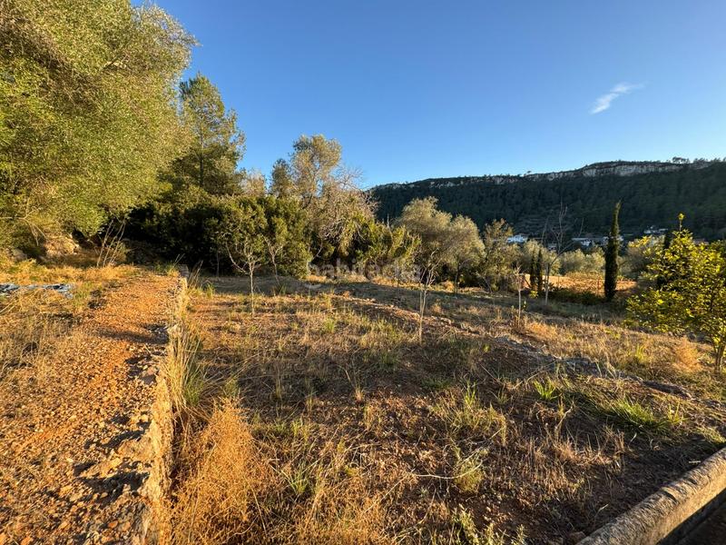 Foto 55c83525-a093-40ae-ba65-e27ae272815f. Finca rústica a Urbanitzacions i Pedanies Nord Alzira