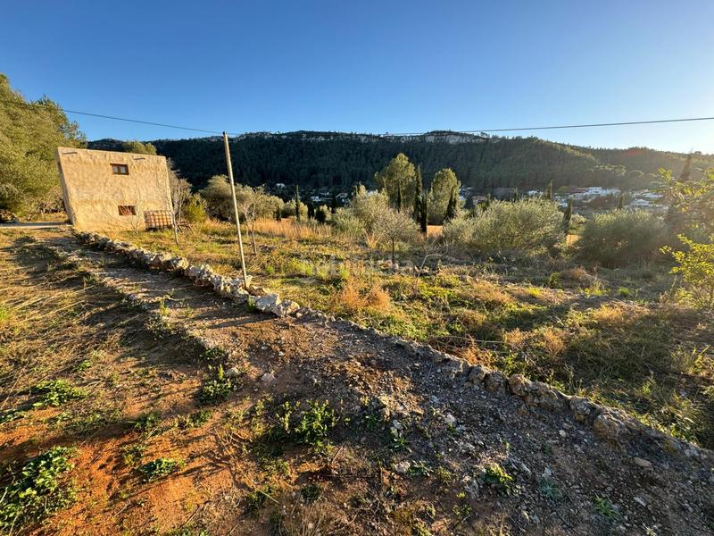 Foto 786b495d-9a1a-4ca5-8a41-f166f3bcd94f. Finca rústica a Urbanitzacions i Pedanies Nord Alzira