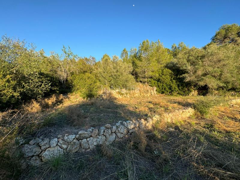 Foto bf8cb67a-0f70-4176-93e1-7f7d97ff5eba. Finca rústica a Urbanitzacions i Pedanies Nord Alzira