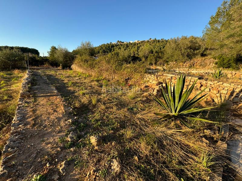 Foto c60aeb47-98d1-48f9-9c23-48bf03d009ad. Finca rústica a Urbanitzacions i Pedanies Nord Alzira