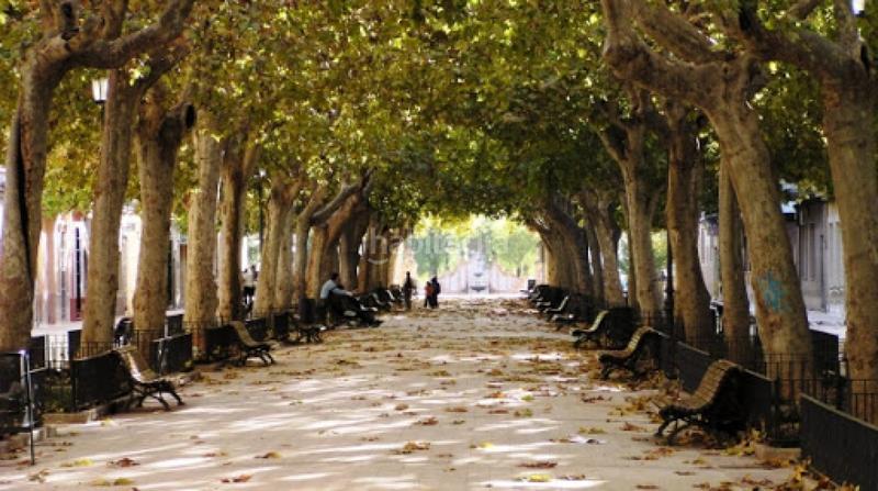 Foto 97c83cf2-1aa1-4298-b32f-fbe25ebe1f0a. Aparcament cotxe a Carcaixent