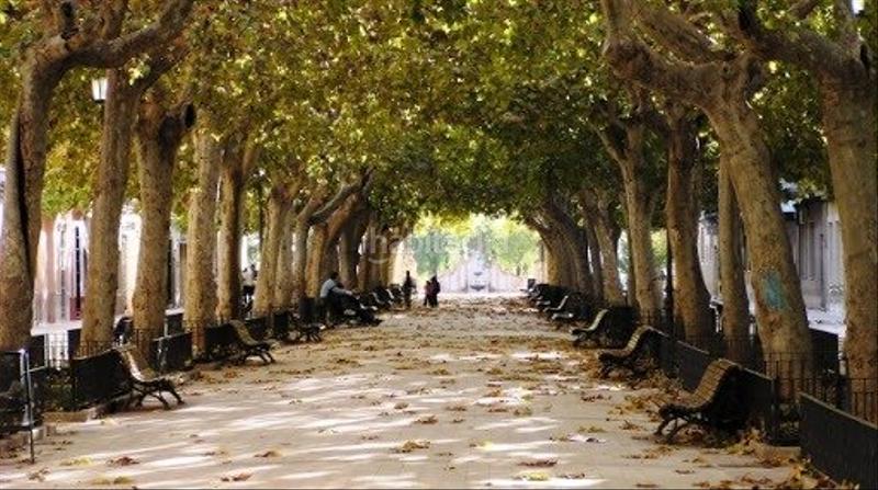 Foto a7df007f-c04b-4895-89be-04bb973d8183. Trapasso locale commerciale in Carcaixent