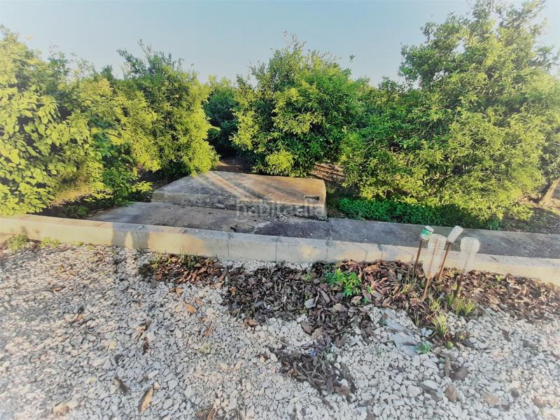 Foto 80f1522c-4526-454f-b9fe-1ea9360f4329. Wohngrundstück in Carcaixent