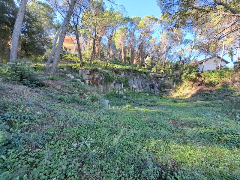 Foto 1dc3ec76-3a9f-4221-9dcb-3fbe1ff8d1a3. Terreno residenziale in Alquenència - Venècia Alzira