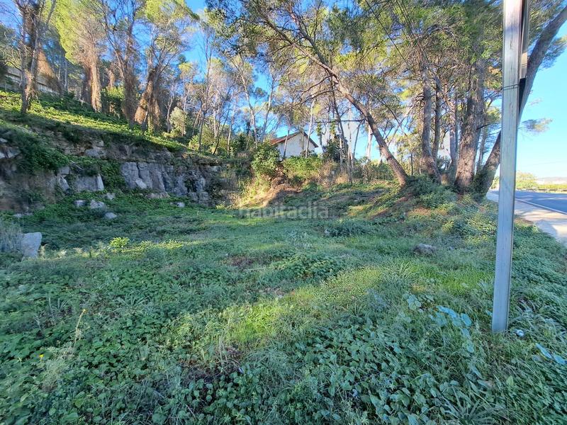 Foto 24ad9f43-1baa-4b2a-a956-14206a0fd49c. Terreno residenziale in Alquenència - Venècia Alzira