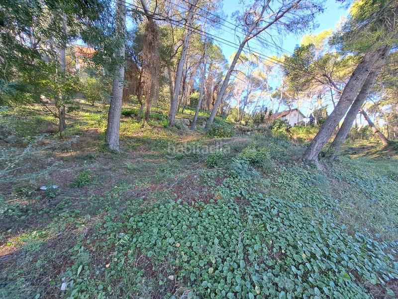 Foto 43b8c519-5127-4642-bfc4-5fe9cbdcc45b. Terreno residenziale in Alquenència - Venècia Alzira