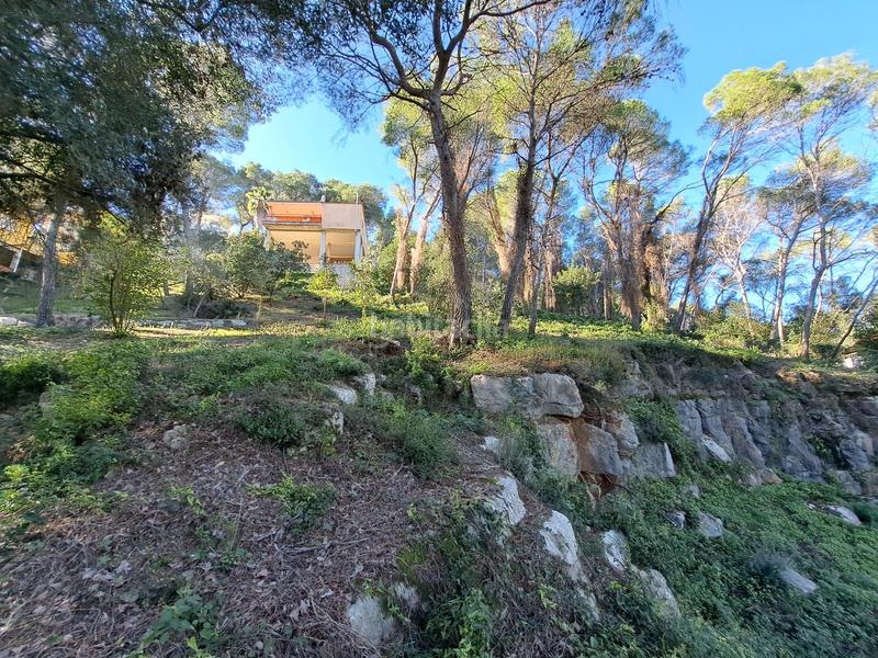 Foto 4e91a849-2837-4e88-b029-a4ea8e07b867. Terreno residenziale in Alquenència - Venècia Alzira