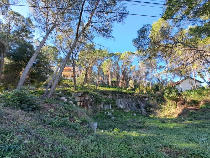 Foto 7a87cc89-9ff3-4a83-b1be-60f133616f5d. Terreno residenziale in Alquenència - Venècia Alzira