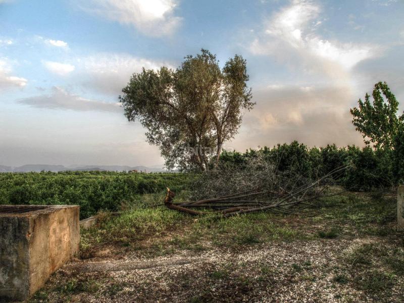 Foto fd7ff328-cfb2-412a-8c5d-2d90c4045bfb. Residential plot in Pobla Llarga (la)