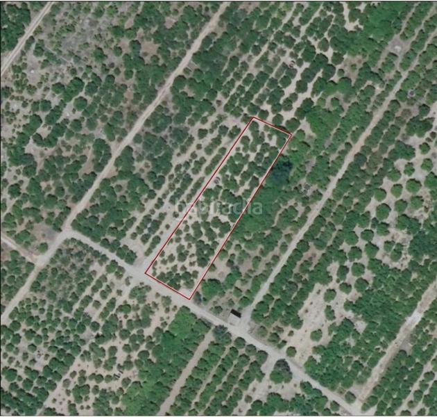 Foto 96b1de7b-1d6f-45d9-aecd-3fc4b5a577ff. Propriété dans Polinyà de Xúquer