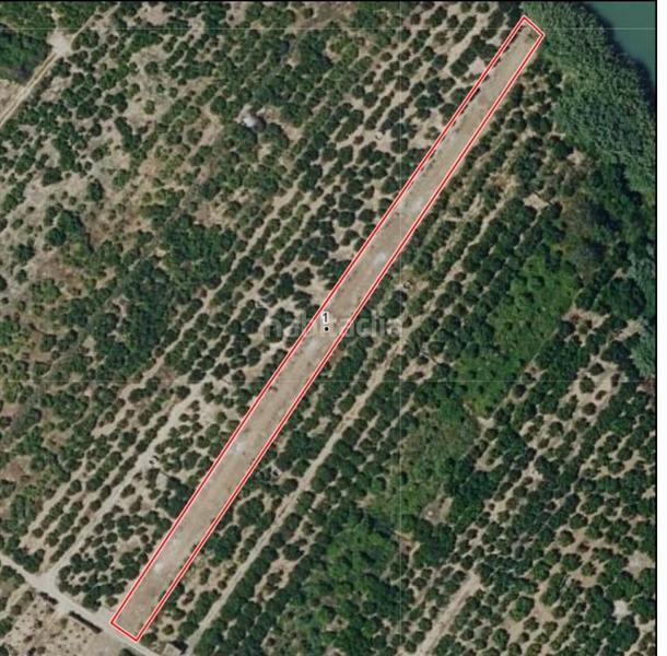 Foto 86307453-5167-4117-9f28-6ed85517aa6a. Finca rústica a Polinyà de Xúquer