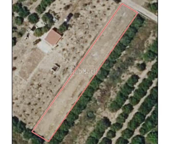 Foto bfc38c9f-2ee3-404d-b6ab-6f506d510d4e. Finca rústica a Polinyà de Xúquer