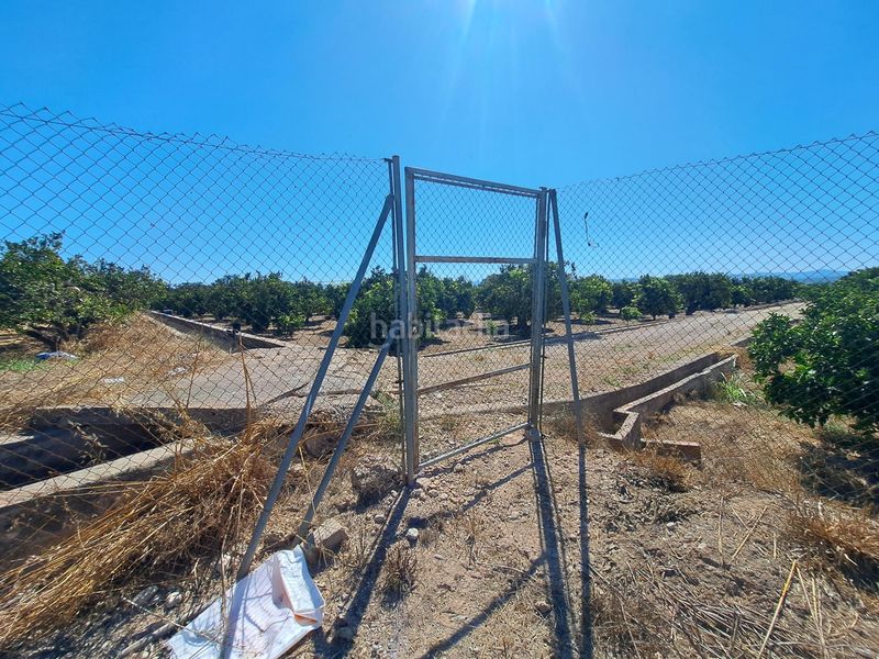 Foto e261dade-97ac-429e-8198-09576e847ba8. Finca rústica a Carcaixent