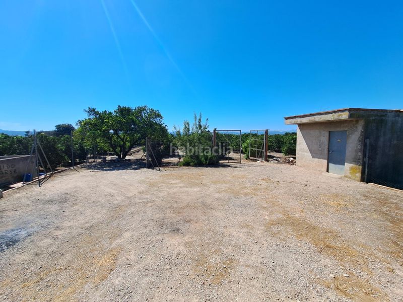 Foto f0aee61a-1056-4a68-a1f9-12947cbec9b6. Finca rústica a Carcaixent